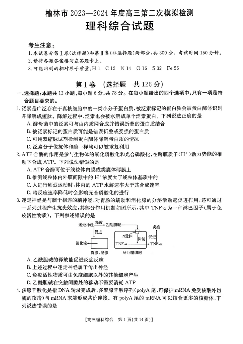 2024届陕西省榆林市高三下学期第二次模拟检测理科综合试题+(1)_2024年3月_013月合集_2024届陕西省榆林市高三第二次模拟考试