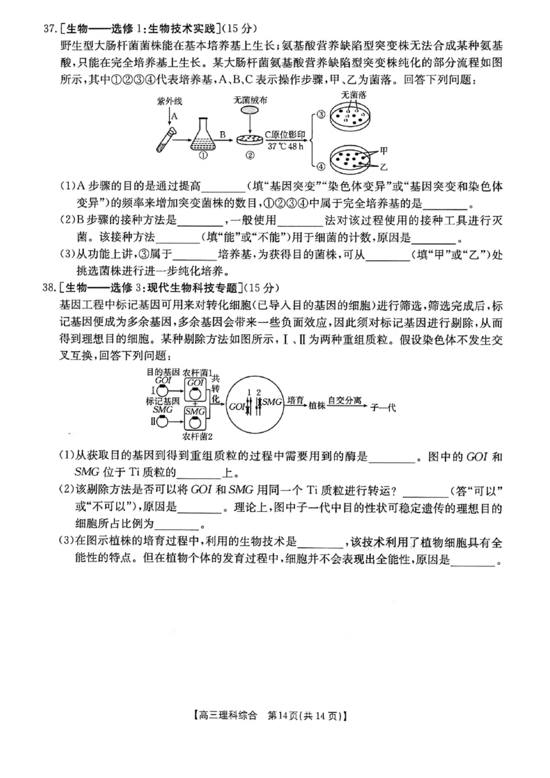 2024届陕西省榆林市高三下学期第二次模拟检测理科综合试题+(1)_2024年3月_013月合集_2024届陕西省榆林市高三第二次模拟考试