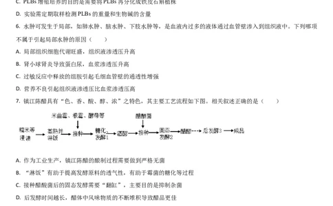 吉林省通化市梅河口市第五中学2024-2025学年高三上学期开学考试生物学试题（含答案）(1)_8月_240820吉林省通化市梅河口市第五中学2024-2025学年高三上学期开学考试