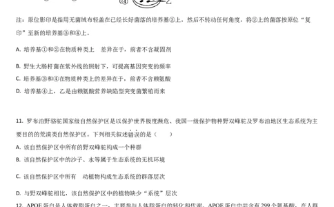 吉林省通化市梅河口市第五中学2024-2025学年高三上学期开学考试生物学试题（含答案）(1)_8月_240820吉林省通化市梅河口市第五中学2024-2025学年高三上学期开学考试