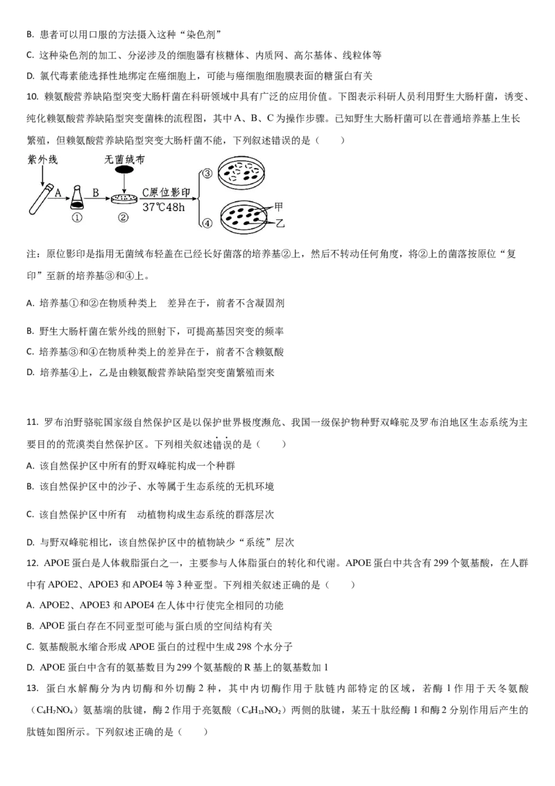吉林省通化市梅河口市第五中学2024-2025学年高三上学期开学考试生物学试题（含答案）(1)_8月_240820吉林省通化市梅河口市第五中学2024-2025学年高三上学期开学考试