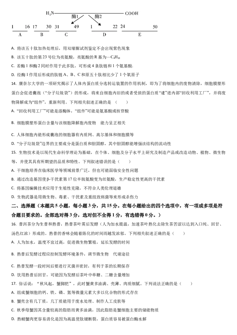 吉林省通化市梅河口市第五中学2024-2025学年高三上学期开学考试生物学试题（含答案）(1)_8月_240820吉林省通化市梅河口市第五中学2024-2025学年高三上学期开学考试