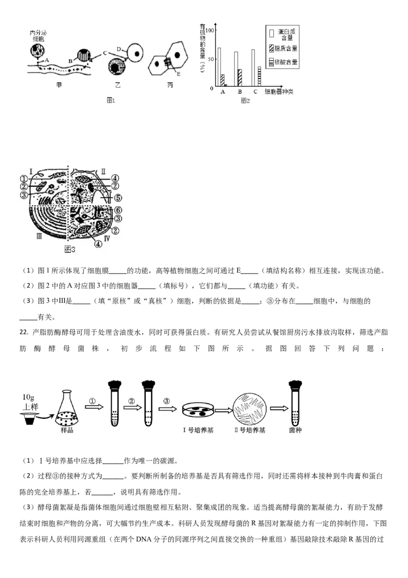 吉林省通化市梅河口市第五中学2024-2025学年高三上学期开学考试生物学试题（含答案）(1)_8月_240820吉林省通化市梅河口市第五中学2024-2025学年高三上学期开学考试