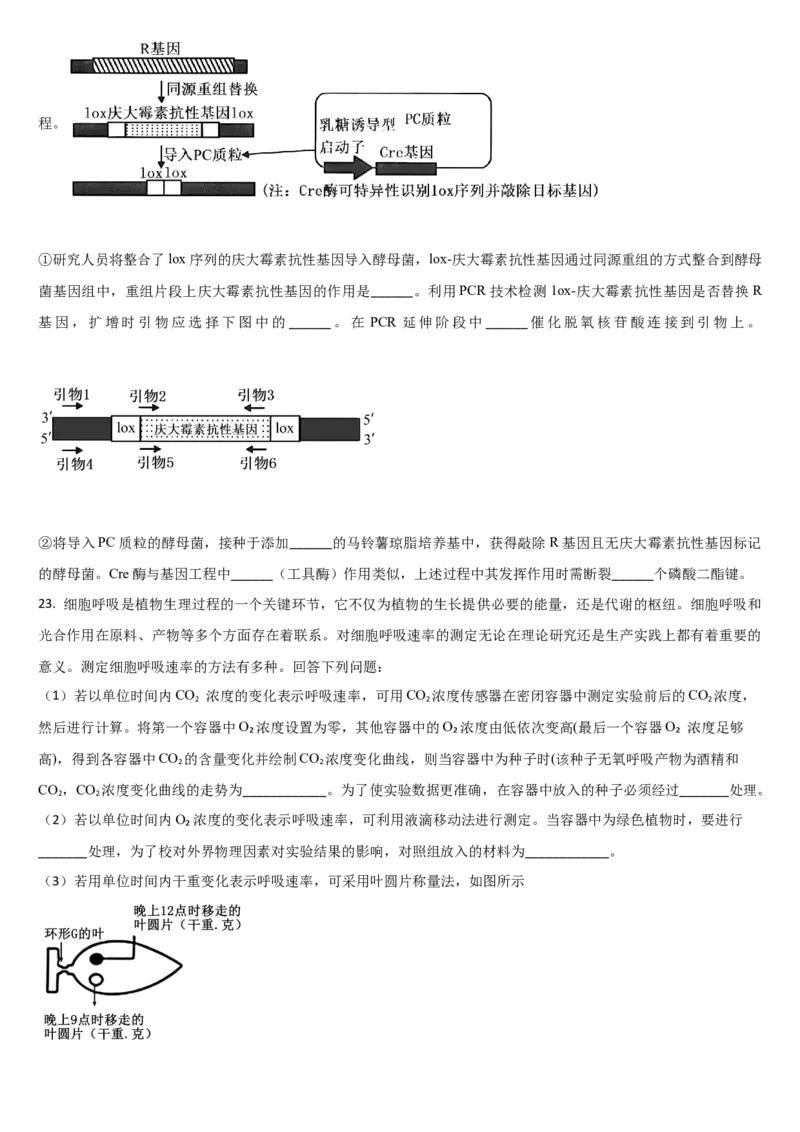 吉林省通化市梅河口市第五中学2024-2025学年高三上学期开学考试生物学试题（含答案）(1)_8月_240820吉林省通化市梅河口市第五中学2024-2025学年高三上学期开学考试