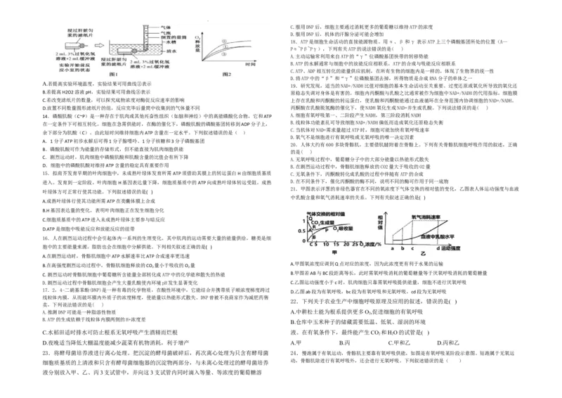 生物--2024-2025学年第一学期高三第一次月考试卷（8月）学生卷--2024-2025学年第一学期高三生物第一次月考试卷（8月）_8月_240821新疆石河子第一中学2024-2025学年高三上学期开学考试