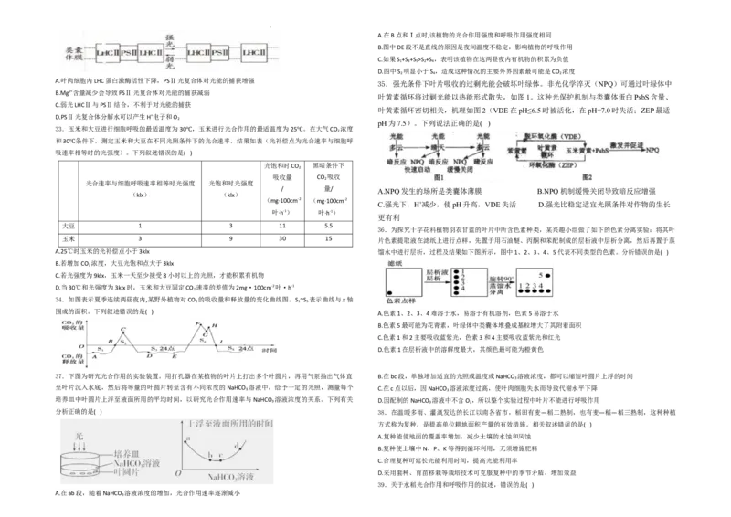 生物--2024-2025学年第一学期高三第一次月考试卷（8月）学生卷--2024-2025学年第一学期高三生物第一次月考试卷（8月）_8月_240821新疆石河子第一中学2024-2025学年高三上学期开学考试