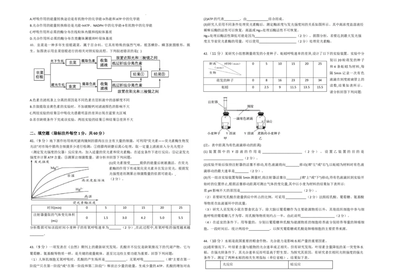 生物--2024-2025学年第一学期高三第一次月考试卷（8月）学生卷--2024-2025学年第一学期高三生物第一次月考试卷（8月）_8月_240821新疆石河子第一中学2024-2025学年高三上学期开学考试