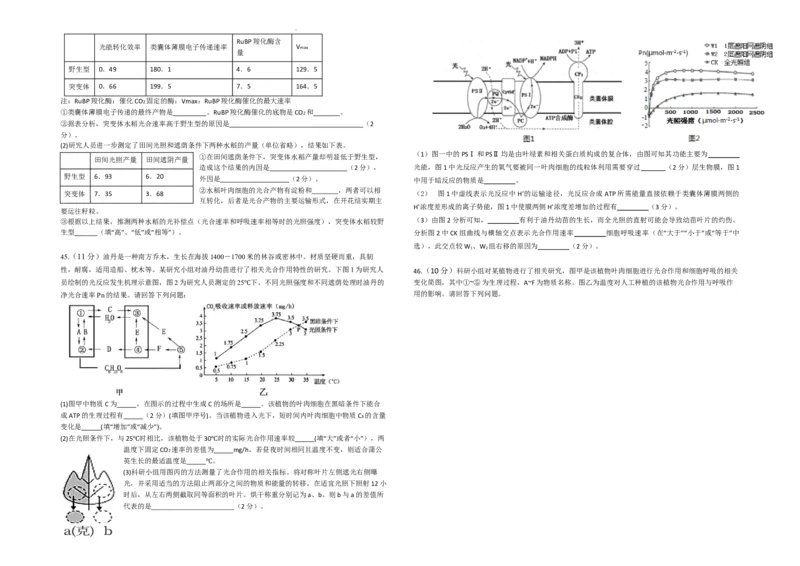 生物--2024-2025学年第一学期高三第一次月考试卷（8月）学生卷--2024-2025学年第一学期高三生物第一次月考试卷（8月）_8月_240821新疆石河子第一中学2024-2025学年高三上学期开学考试
