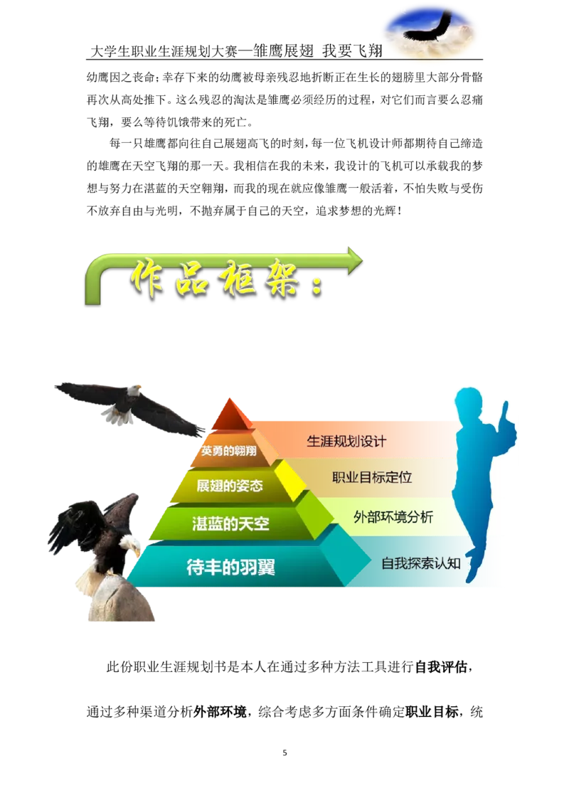 航空专业-职业生涯规划书_E6-职业规划_38航空专业