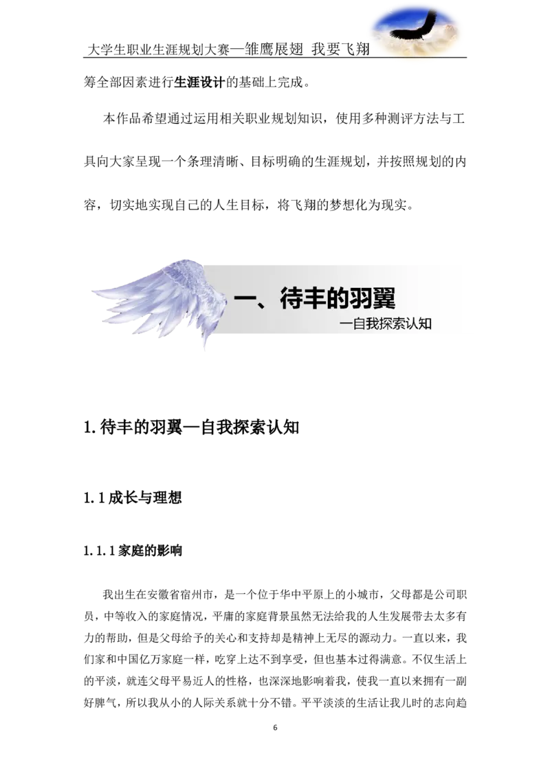 航空专业-职业生涯规划书_E6-职业规划_38航空专业