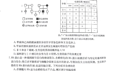 2024届甘肃省白银市靖远县高三下学期第三次联考生物试题_2024年4月_01按日期_15号_2024届甘肃金太阳(24-473c)靖远高三第三次联考_2024届甘肃省白银市靖远县高三下学期第三次联考生物试题