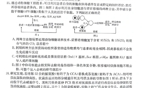 2024届甘肃省白银市靖远县高三下学期第三次联考生物试题_2024年4月_01按日期_15号_2024届甘肃金太阳(24-473c)靖远高三第三次联考_2024届甘肃省白银市靖远县高三下学期第三次联考生物试题
