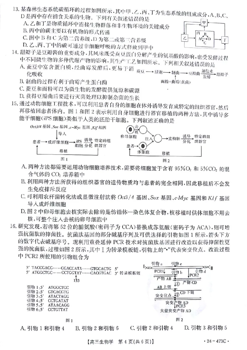 2024届甘肃省白银市靖远县高三下学期第三次联考生物试题_2024年4月_01按日期_15号_2024届甘肃金太阳(24-473c)靖远高三第三次联考_2024届甘肃省白银市靖远县高三下学期第三次联考生物试题