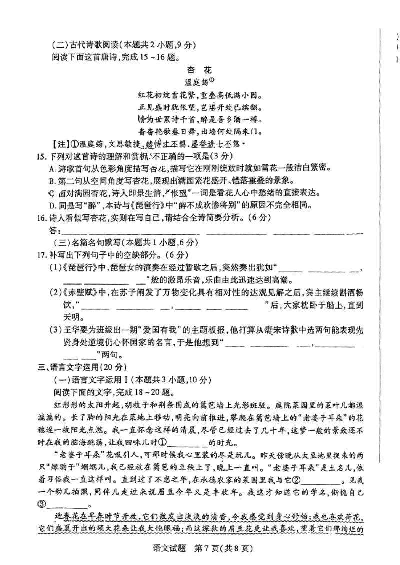 2024河南天一大高三阶段性测试（五）语文含答案(1)_2024年2月_022月合集_2024届天一大联考高三阶段性测试（五）老高考