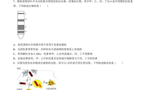 2024届浙江省绍兴市高三下学期4月适应性考试（二模）生物试卷(1)_2024年5月_025月合集_2024届浙江省绍兴市高三下学期4月适应性考试（二模）