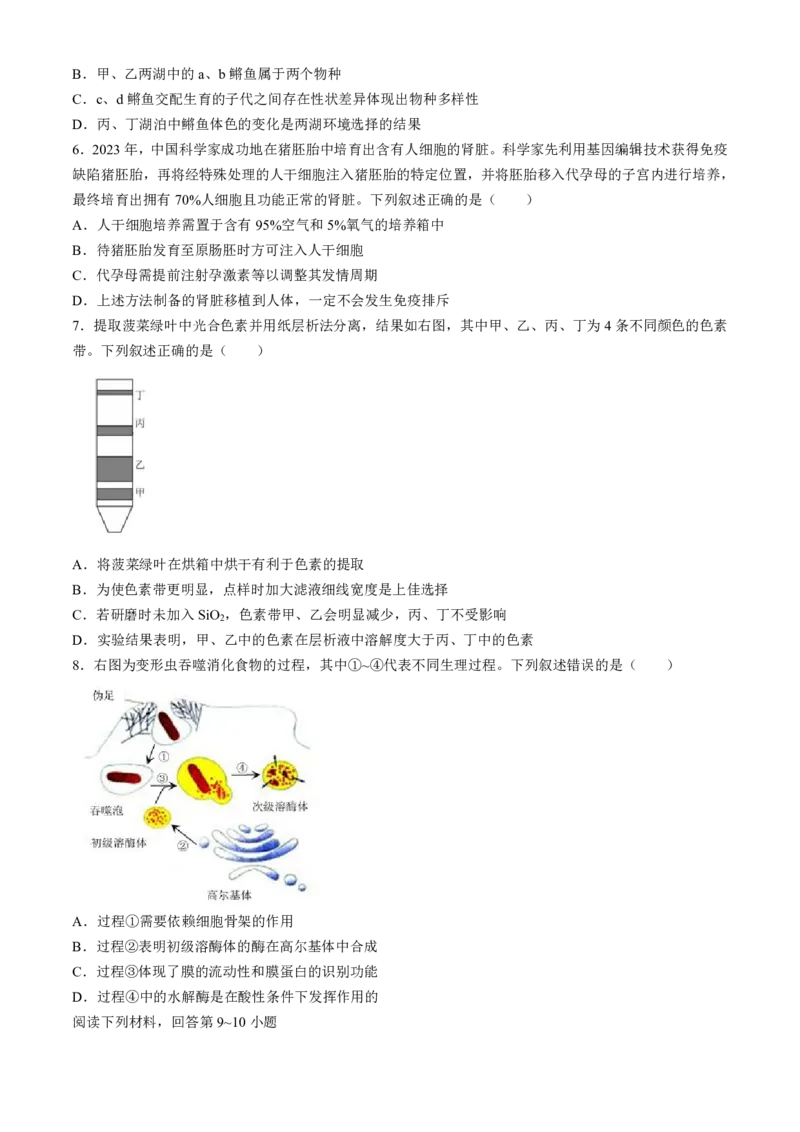 2024届浙江省绍兴市高三下学期4月适应性考试（二模）生物试卷(1)_2024年5月_025月合集_2024届浙江省绍兴市高三下学期4月适应性考试（二模）