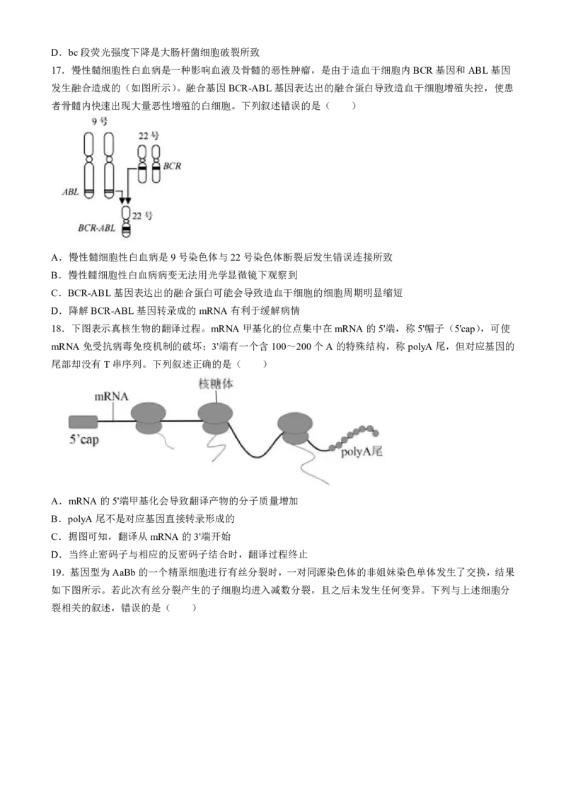 2024届浙江省绍兴市高三下学期4月适应性考试（二模）生物试卷(1)_2024年5月_025月合集_2024届浙江省绍兴市高三下学期4月适应性考试（二模）