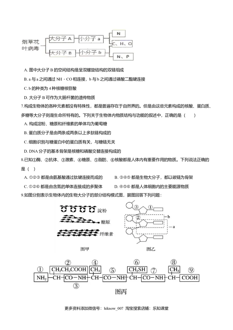 2.5核酸是遗传信息的携带者-高一生物课后培优练（人教版2019必修1）（原卷版）_E015高中全科试卷_生物试题_必修1_2.同步练习_3.同步练习（第三套）
