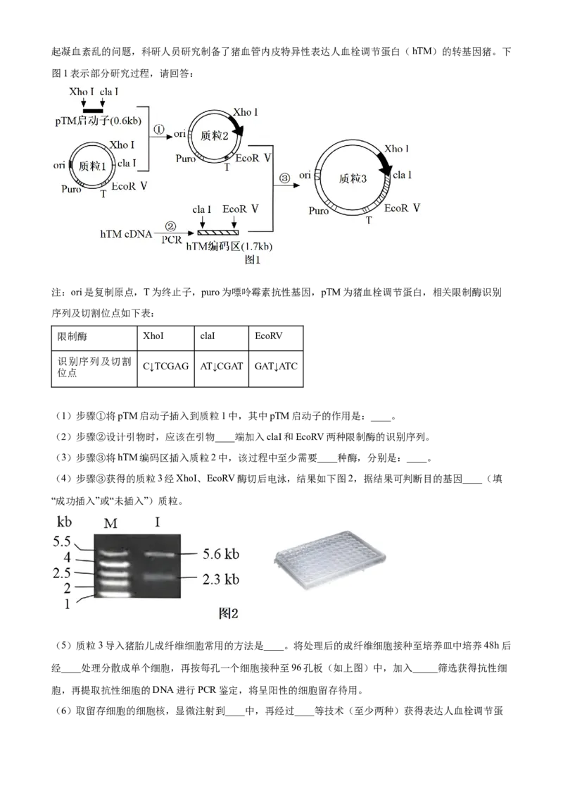 福建省三明市第一中学2023-2024学年高二下学期第二次月考生物试题（含答案）_6月_2406302024福建省三明市第一中学高二下学期第二次月考