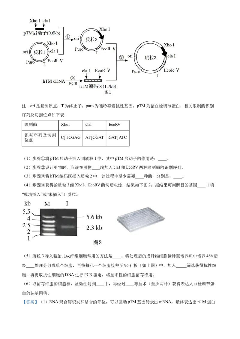 福建省三明市第一中学2023-2024学年高二下学期第二次月考生物试题（含答案）_6月_2406302024福建省三明市第一中学高二下学期第二次月考