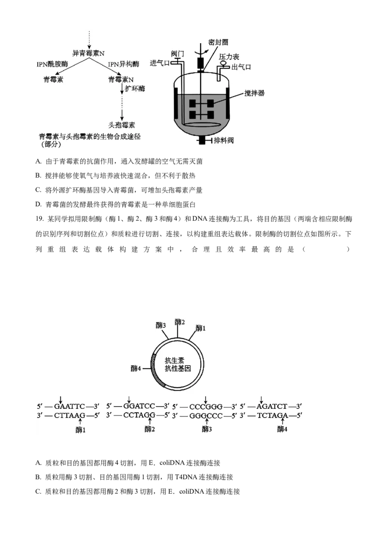福建省三明市第一中学2023-2024学年高二下学期第二次月考生物试题（含答案）_6月_2406302024福建省三明市第一中学高二下学期第二次月考