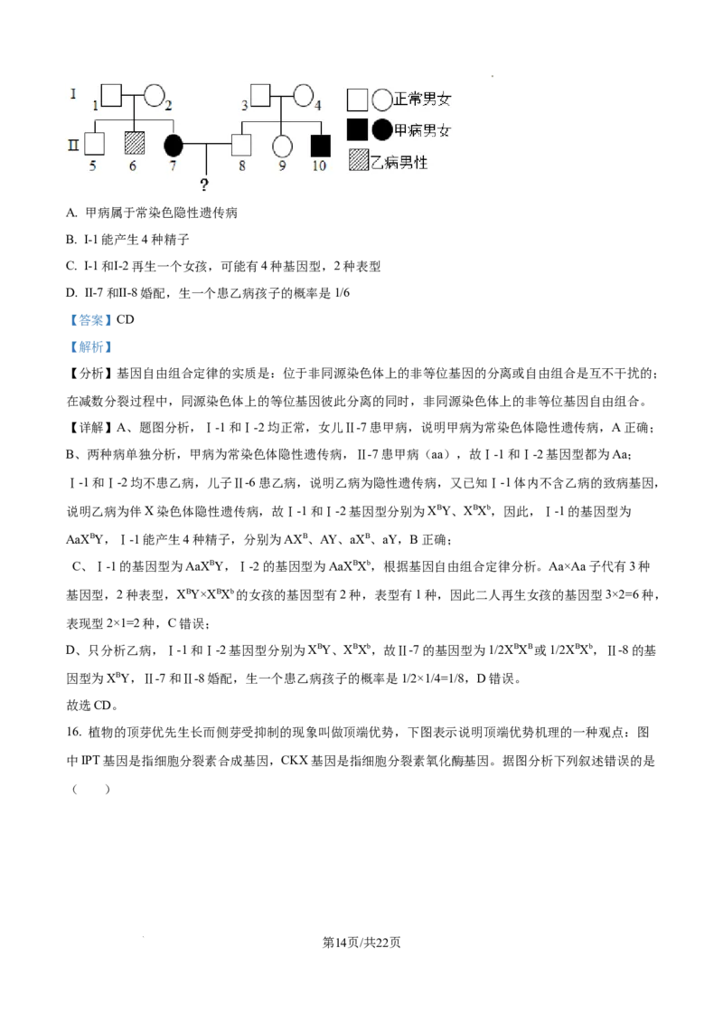 生物试卷（解析版）_8月_240822湖南省湖南天壹名校联盟2025届高三8月入学联考考试_湖南省湖南天壹名校联盟2025届高三8月入学联考考试生物