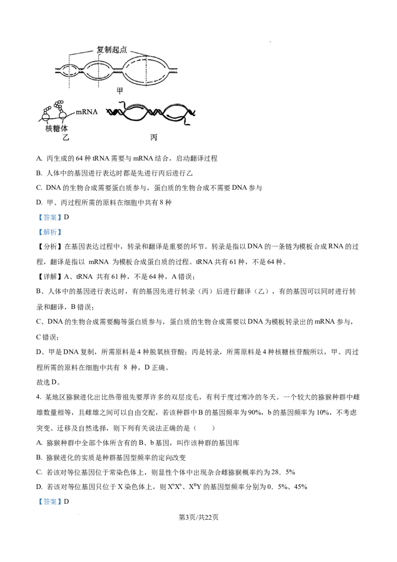 生物试卷（解析版）_8月_240822湖南省湖南天壹名校联盟2025届高三8月入学联考考试_湖南省湖南天壹名校联盟2025届高三8月入学联考考试生物