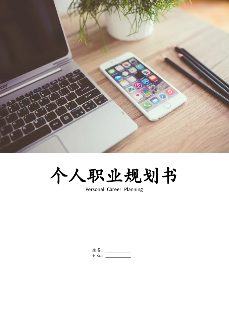 职业规划书模板_E6-职业规划_95通用范本