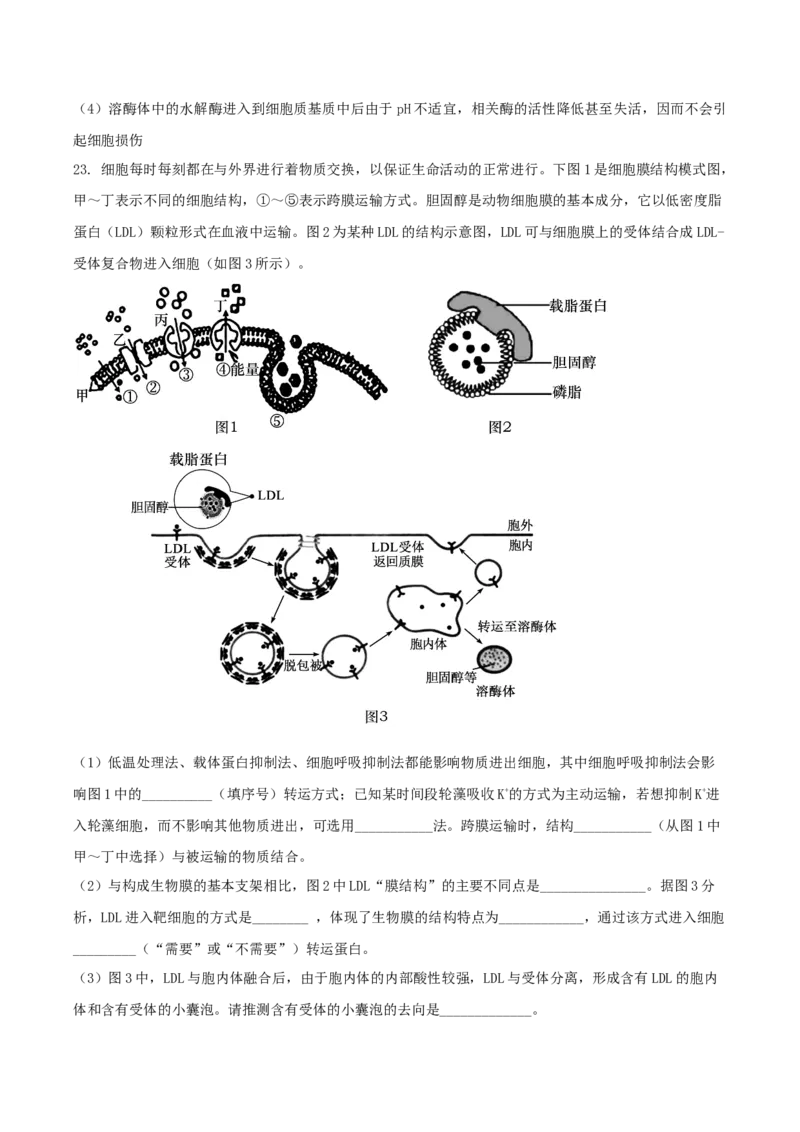 山东省德州市五校2025-2026学年高一上学期11月期中联考试题生物Word版含答案_2024-2025高一（7-7月题库）_2026年1月高一_260110山东省德州市五校2025-2026学年高一上学期期中联考试题（全）
