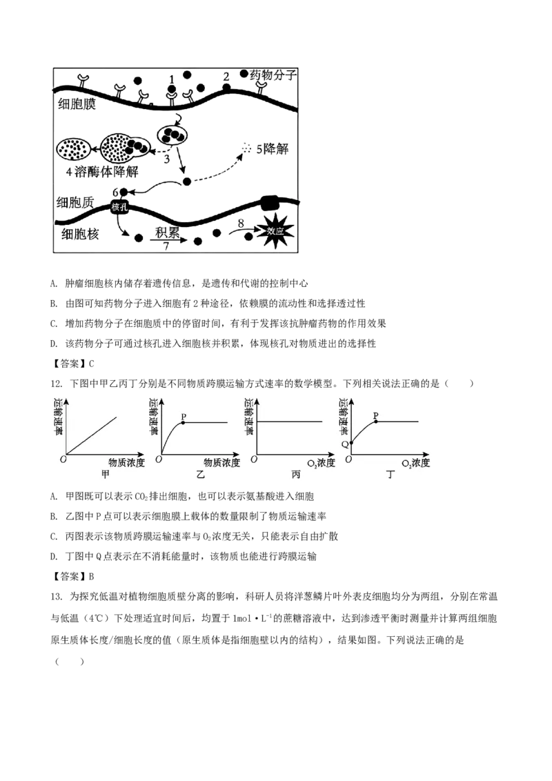 山东省德州市五校2025-2026学年高一上学期11月期中联考试题生物Word版含答案_2024-2025高一（7-7月题库）_2026年1月高一_260110山东省德州市五校2025-2026学年高一上学期期中联考试题（全）