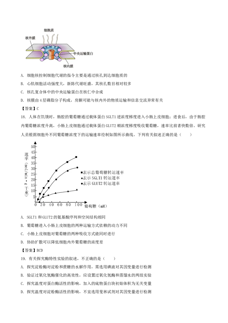 山东省德州市五校2025-2026学年高一上学期11月期中联考试题生物Word版含答案_2024-2025高一（7-7月题库）_2026年1月高一_260110山东省德州市五校2025-2026学年高一上学期期中联考试题（全）