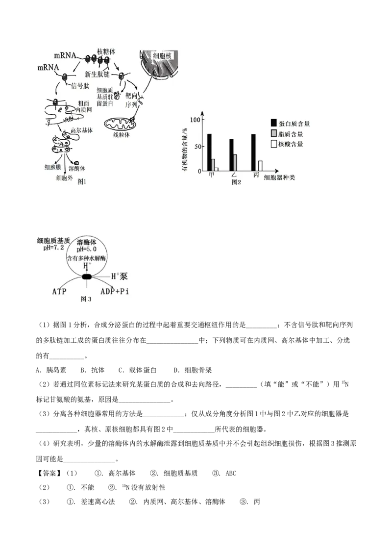 山东省德州市五校2025-2026学年高一上学期11月期中联考试题生物Word版含答案_2024-2025高一（7-7月题库）_2026年1月高一_260110山东省德州市五校2025-2026学年高一上学期期中联考试题（全）