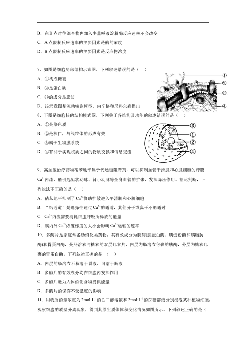 四川省内江市第一中学2025-2026学年高一上学期12月月考生物试题（含答案）_2024-2025高一（7-7月题库）_2026年1月高一_260115四川省内江市第一中学2025-2026学年高一上学期12月月考