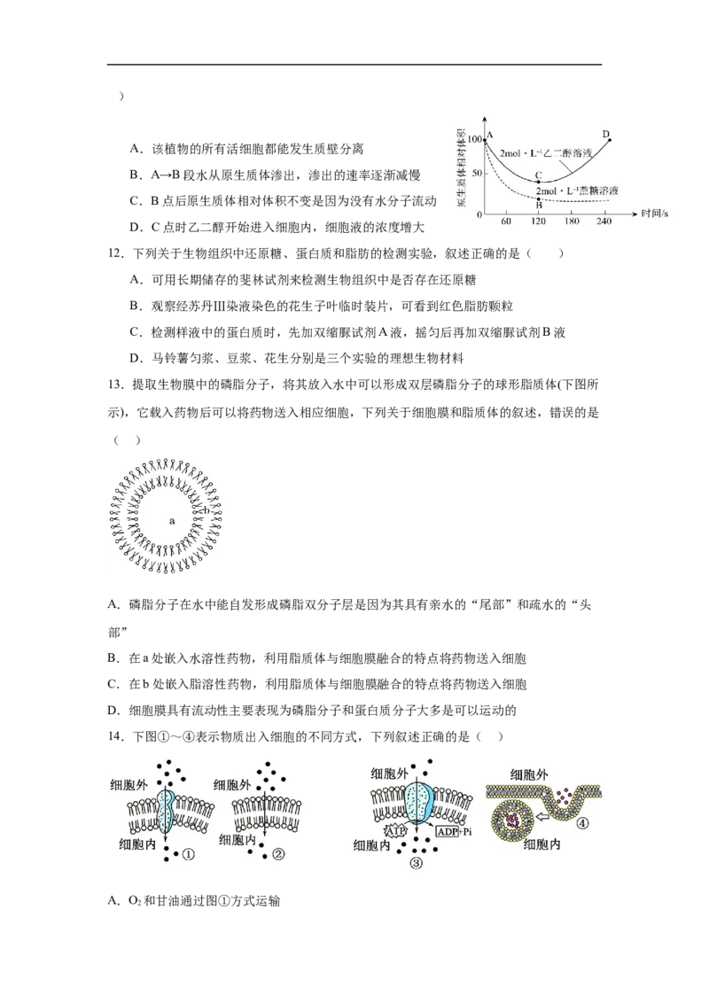 四川省内江市第一中学2025-2026学年高一上学期12月月考生物试题（含答案）_2024-2025高一（7-7月题库）_2026年1月高一_260115四川省内江市第一中学2025-2026学年高一上学期12月月考