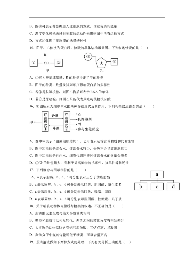 四川省内江市第一中学2025-2026学年高一上学期12月月考生物试题（含答案）_2024-2025高一（7-7月题库）_2026年1月高一_260115四川省内江市第一中学2025-2026学年高一上学期12月月考
