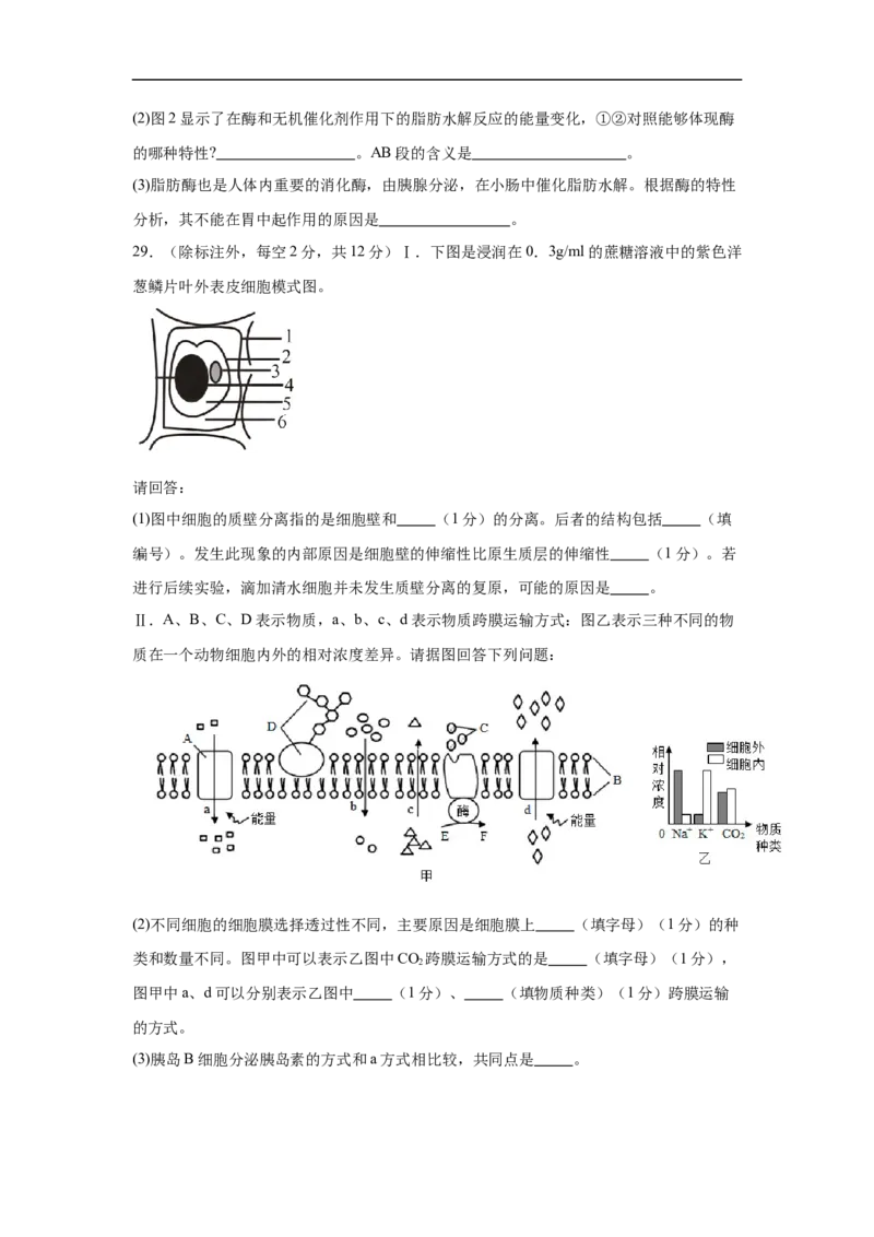 四川省内江市第一中学2025-2026学年高一上学期12月月考生物试题（含答案）_2024-2025高一（7-7月题库）_2026年1月高一_260115四川省内江市第一中学2025-2026学年高一上学期12月月考