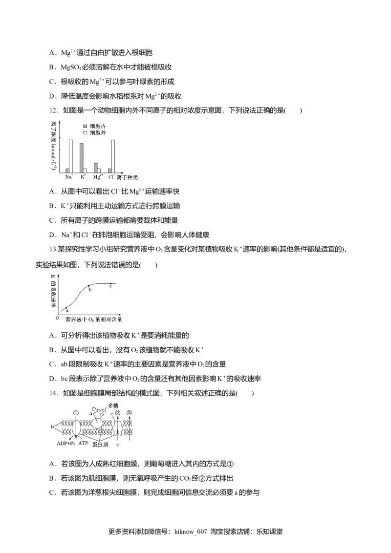 第04章细胞的物质输入和输出（B卷）（原卷版）_E015高中全科试卷_生物试题_必修1_1.单元测试_3.单元测试（第三套）_第04章细胞的物质输入和输出（B卷）