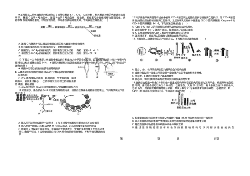 山东省聊城第一中学2024-2025学年高一下学期第二次月考试题生物Word版含解析_2024-2025高一（7-7月题库）_2025年7月_250702山东省聊城第一中学2024-2025学年高一下学期第二次月考试题