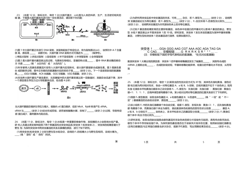 山东省聊城第一中学2024-2025学年高一下学期第二次月考试题生物Word版含解析_2024-2025高一（7-7月题库）_2025年7月_250702山东省聊城第一中学2024-2025学年高一下学期第二次月考试题