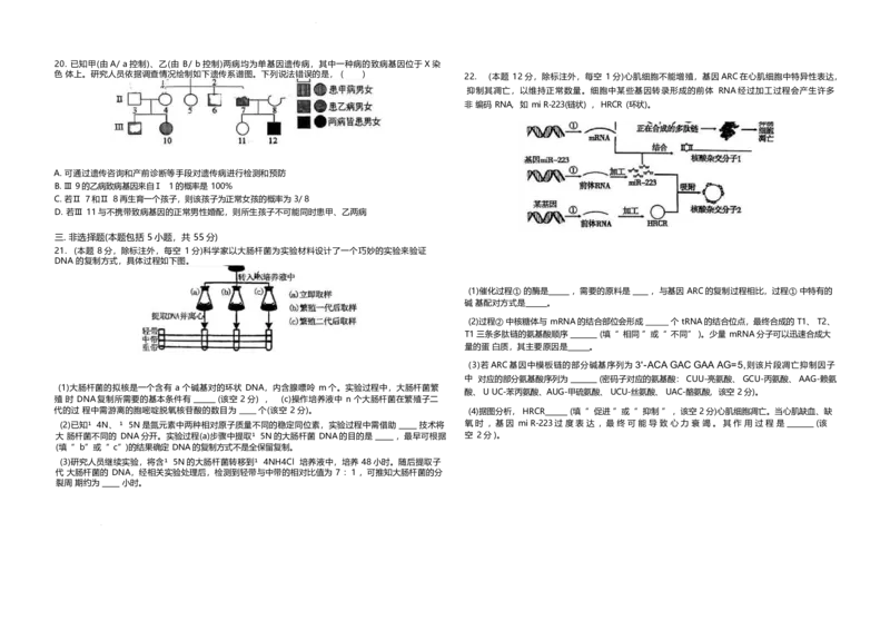 山东省聊城第一中学2024-2025学年高一下学期第二次月考试题生物Word版含解析_2024-2025高一（7-7月题库）_2025年7月_250702山东省聊城第一中学2024-2025学年高一下学期第二次月考试题