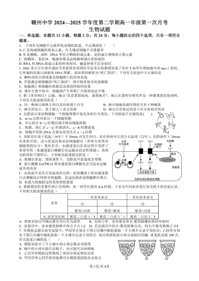 江西省赣州中学2024-2025学年高一下学期第一次月考生物试卷（PDF版，含答案）_2024-2025高一（7-7月题库）_2025年04月试卷_0419江西省赣州中学2024-2025学年高一下学期第一次月考试题
