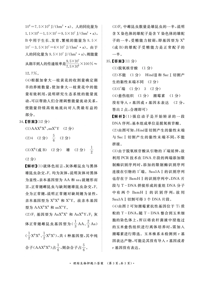参考答案_2024年5月_01按日期_20号_2024届青桐鸣大联考高三押题卷（二）_青桐鸣2024届高三押题卷（二）理科综合试题