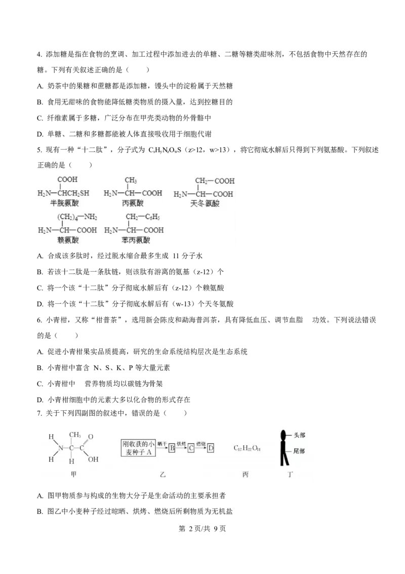 广东省阳江市高新区2024-2025学年高一上学期期末考试生物试卷（含答案）_2024-2025高一（7-7月题库）_2025年03月试卷_0308广东省阳江市高新区2024-2025学年高一上学期1月期末考试