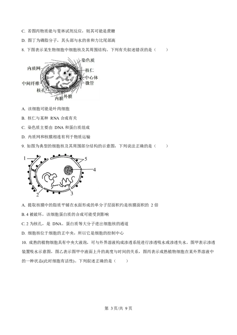 广东省阳江市高新区2024-2025学年高一上学期期末考试生物试卷（含答案）_2024-2025高一（7-7月题库）_2025年03月试卷_0308广东省阳江市高新区2024-2025学年高一上学期1月期末考试
