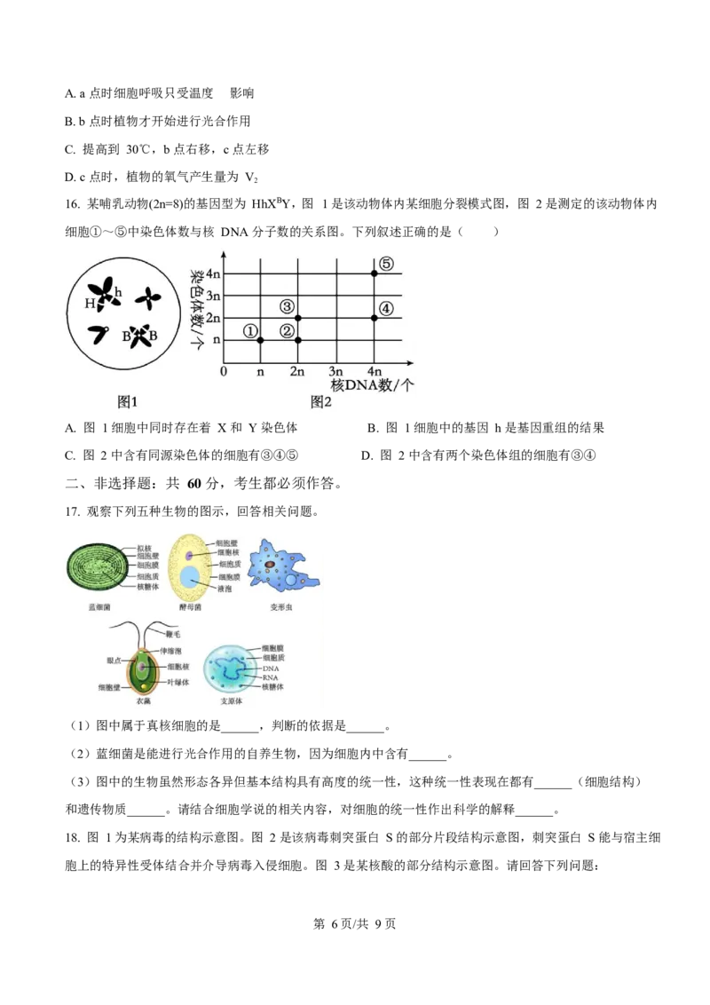 广东省阳江市高新区2024-2025学年高一上学期期末考试生物试卷（含答案）_2024-2025高一（7-7月题库）_2025年03月试卷_0308广东省阳江市高新区2024-2025学年高一上学期1月期末考试