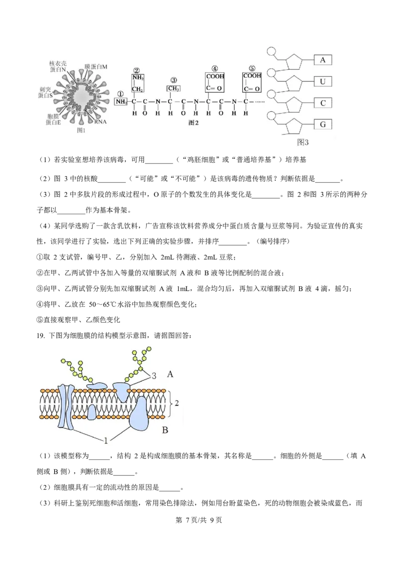 广东省阳江市高新区2024-2025学年高一上学期期末考试生物试卷（含答案）_2024-2025高一（7-7月题库）_2025年03月试卷_0308广东省阳江市高新区2024-2025学年高一上学期1月期末考试