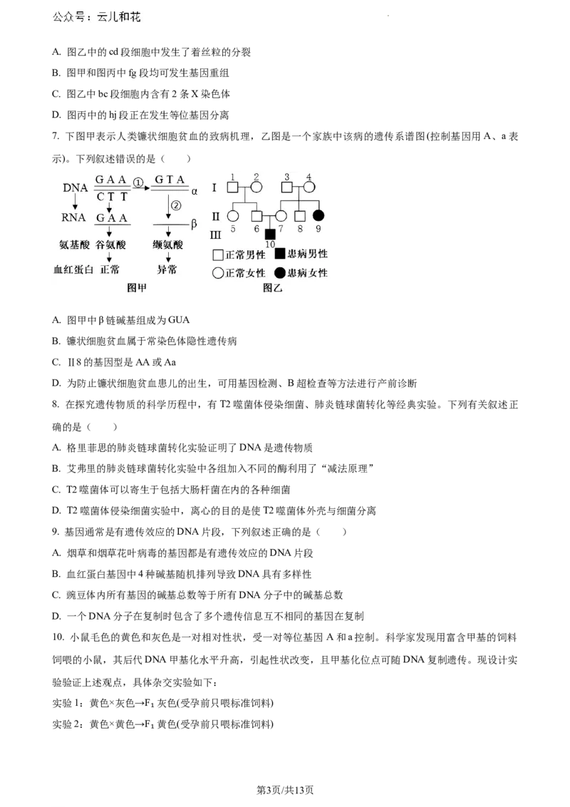 河北省保定市2023-2024学年高一下学期期末调研考试生物试题_2024-2025高一（7-7月题库）_2024年7月试卷_0704河北省保定市2023-2024学年高一下学期期末调研考试