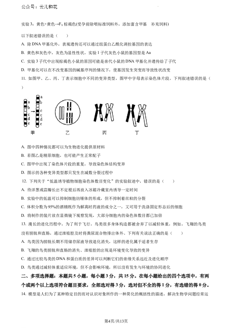 河北省保定市2023-2024学年高一下学期期末调研考试生物试题_2024-2025高一（7-7月题库）_2024年7月试卷_0704河北省保定市2023-2024学年高一下学期期末调研考试
