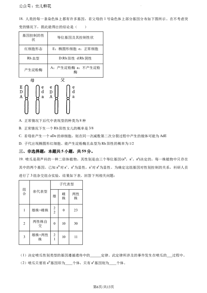 河北省保定市2023-2024学年高一下学期期末调研考试生物试题_2024-2025高一（7-7月题库）_2024年7月试卷_0704河北省保定市2023-2024学年高一下学期期末调研考试