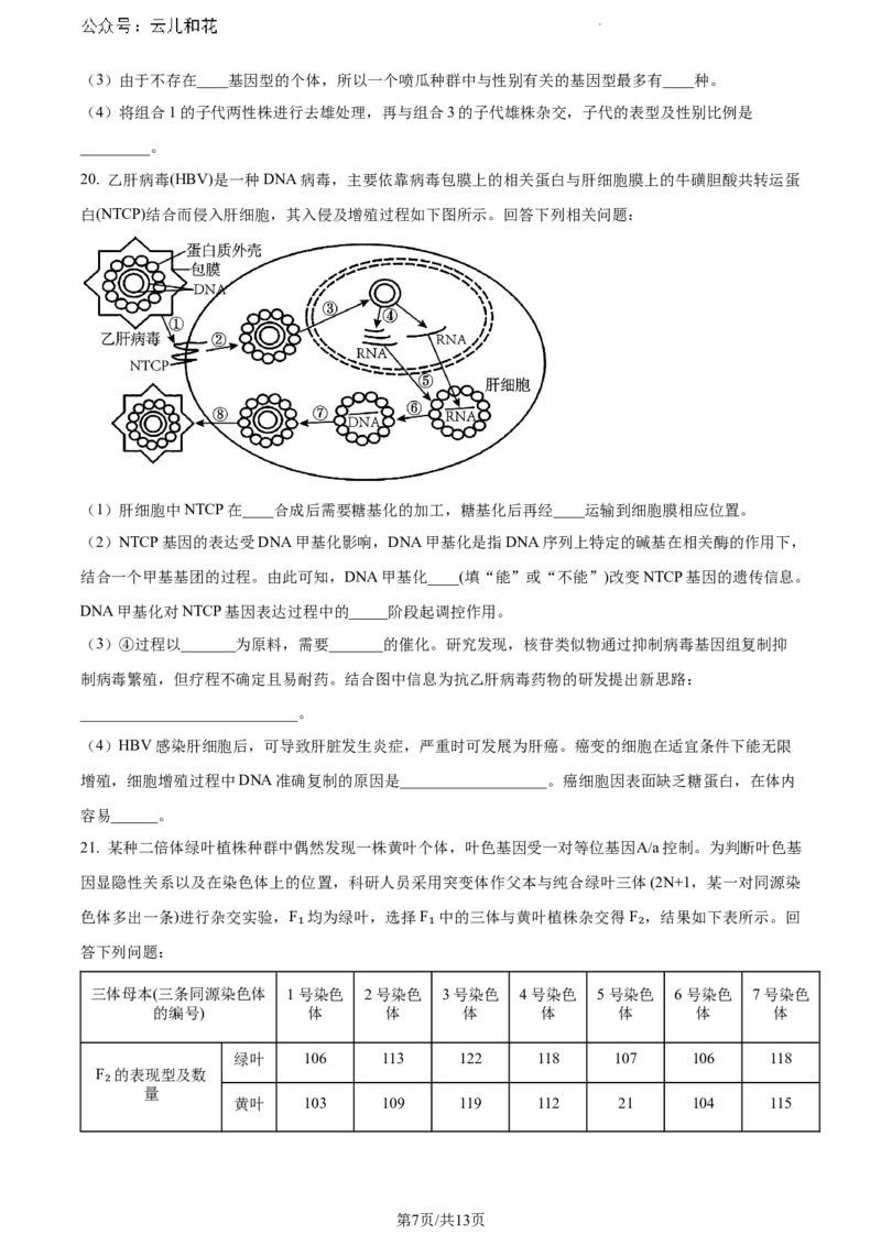 河北省保定市2023-2024学年高一下学期期末调研考试生物试题_2024-2025高一（7-7月题库）_2024年7月试卷_0704河北省保定市2023-2024学年高一下学期期末调研考试